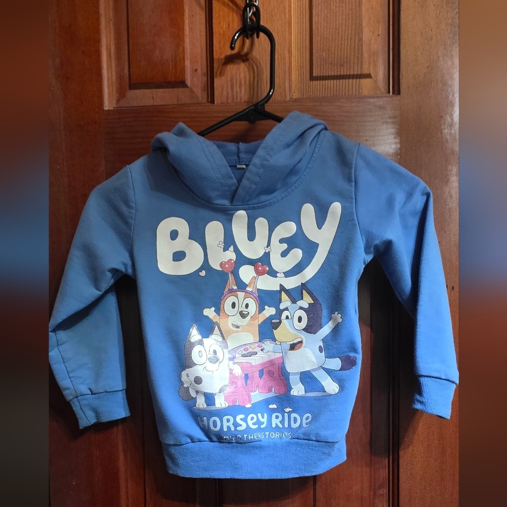 Blue 'Bluey' Graphic Hoodie for Kids